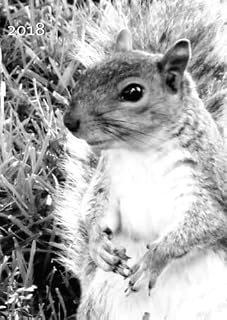 MY BIG FAT CALENDAR 2018 - SQUIRREL (Great Britain): 1 day per DIN A4 page, lined
