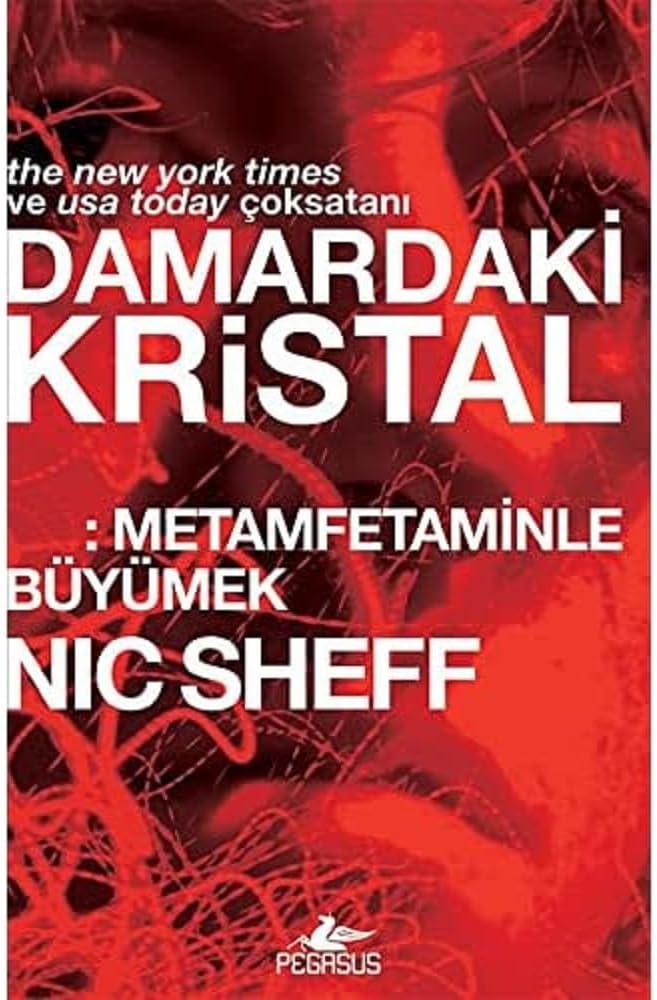 Damardaki Kristal: Metamfetaminle Büyümek