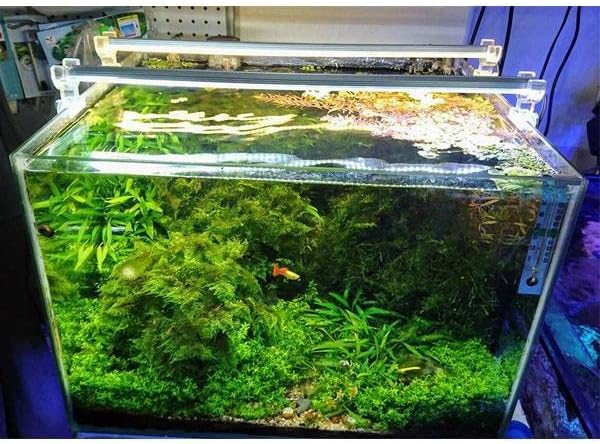 OrionLed Akvaryum Led Aydınlatma Beyaz 40Cm 6500K
