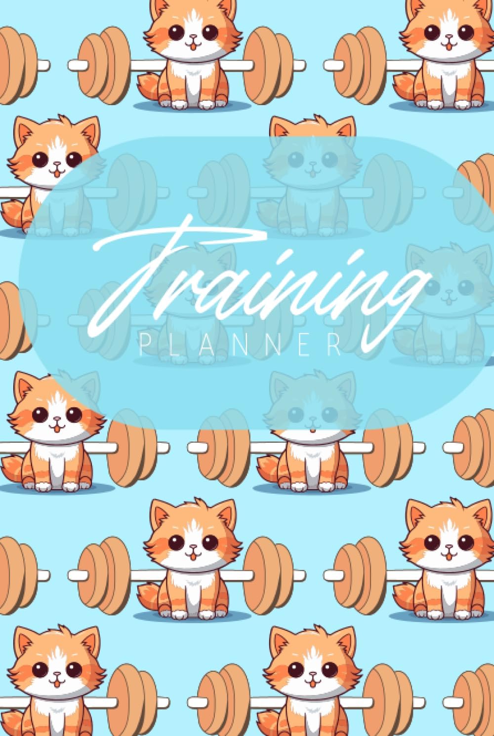 Exercise log book - orange gym cat. Training planner. Great exercise accessories. 100 days of challenges. 100 trainings a year. Healthy lifestyle. It helps to be systematic. 119 pages.