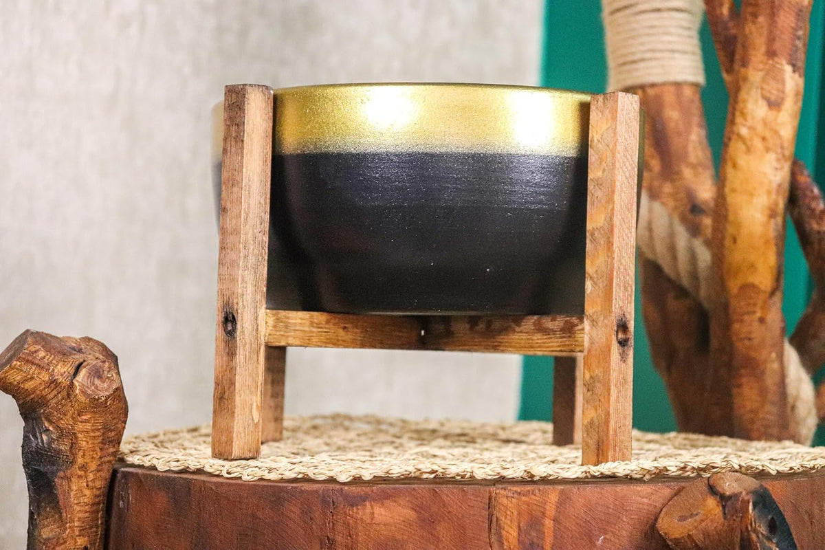 Bitki Tasarımı Ev Dekorasyon Gold Şeritli Siyah Aranjmanlık Sunumluk Bonzai Terracota Toprak Saksı 4 Ayaklı