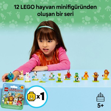 Koleksiyonluk Küçük Hayvan Figürleri, 5 Yaş ve Üzeri