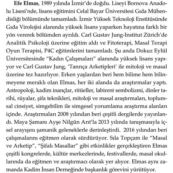 Doğan Novus Labirent Efe Elmas Ciltsiz Kitap 224 Sayfa Doğan Yayınları 2023