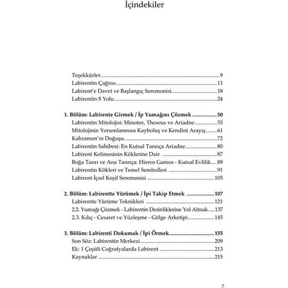Doğan Novus Labirent Efe Elmas Ciltsiz Kitap 224 Sayfa Doğan Yayınları 2023