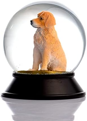 Cam Ve Reçine Altın Patiler Köpek Golden Retriever Kar Küresi Hediye