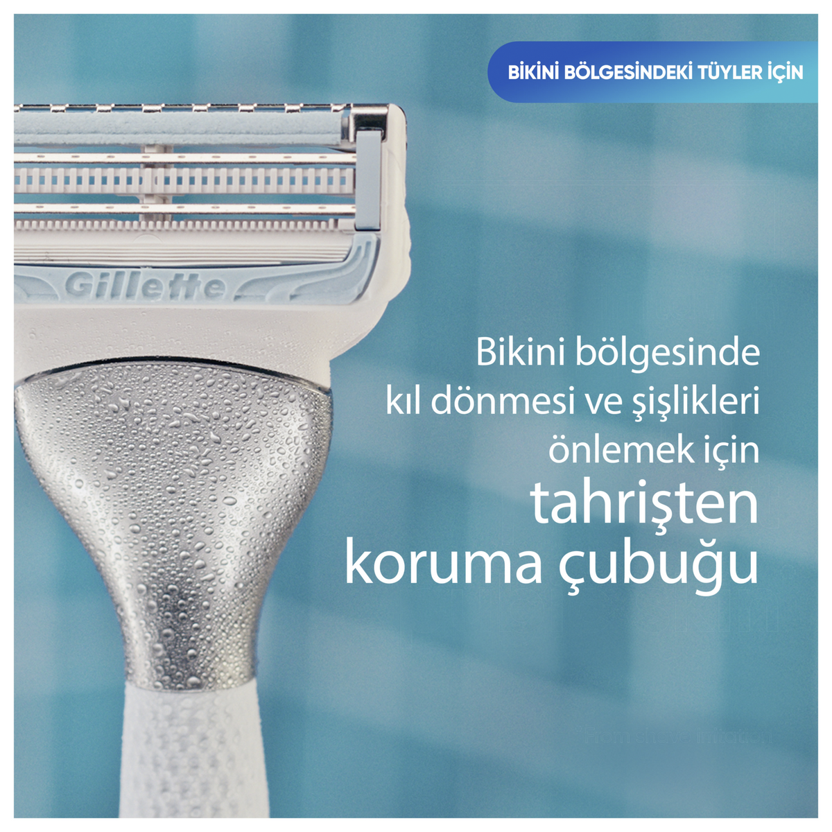 Venus Bikini Bölgesi 3'lü Yedek Bıçak