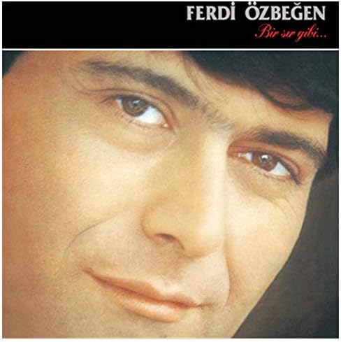 Yaşar Kekeva Plakçılık Ferdi Özbeğen - Bir Sır Gibi LP Plak