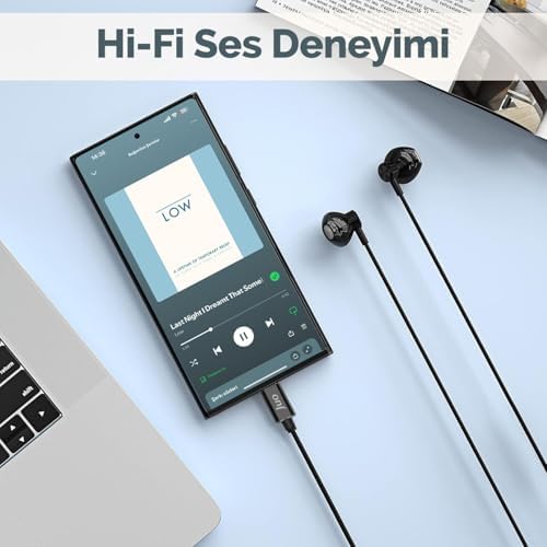 Type-C Mikrofonlu Kablolu Kulak İçi Kulaklık Metal DAC Çip Destekli ENC Gürültü Engelleme