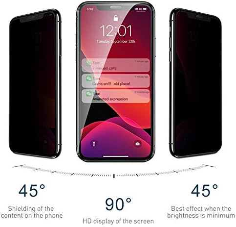11 Pro (5.8'') Privacy 5D Gizlilik Filtreli Cam Ekran Koruyucu Siyah