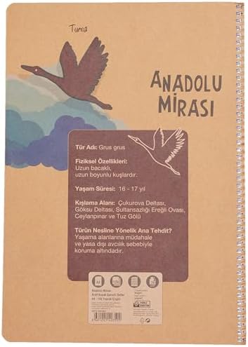 Anadolu Mirası Spiralli Defter, A4, 120 Yaprak, 70g Kağıt, Çizgili, Dayanıklı Kapak, Kolay Açılan Spiral Cilt, Asorti Renkler