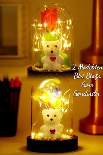 Telvesse 3 Modlu Led Işıklı Fanus İçinde Beyaz Ayıcık Detaylı Sevgiliye Hediyelik Dekoratif Gece Lambası