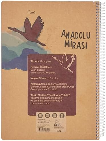 Anadolu Mirası Spiralli Defter, A4, 120 Yaprak, 70g Kağıt, Çizgili, Dayanıklı Kapak, Kolay Açılan Spiral Cilt, Asorti Renkler