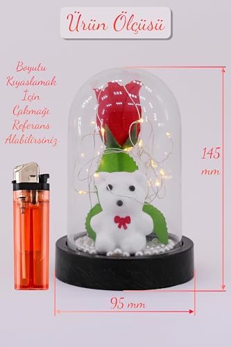Telvesse 3 Modlu Led Işıklı Fanus İçinde Beyaz Ayıcık Detaylı Sevgiliye Hediyelik Dekoratif Gece Lambası