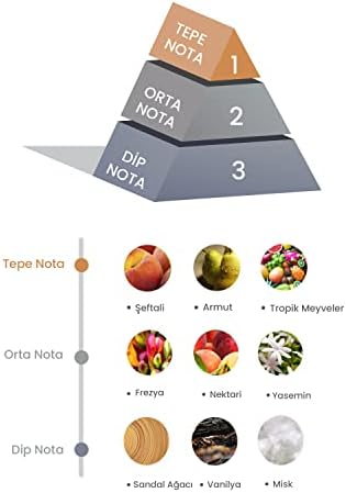 Prova Bambu Çubuklu Oda Kokusu Peach Tea 100 ml