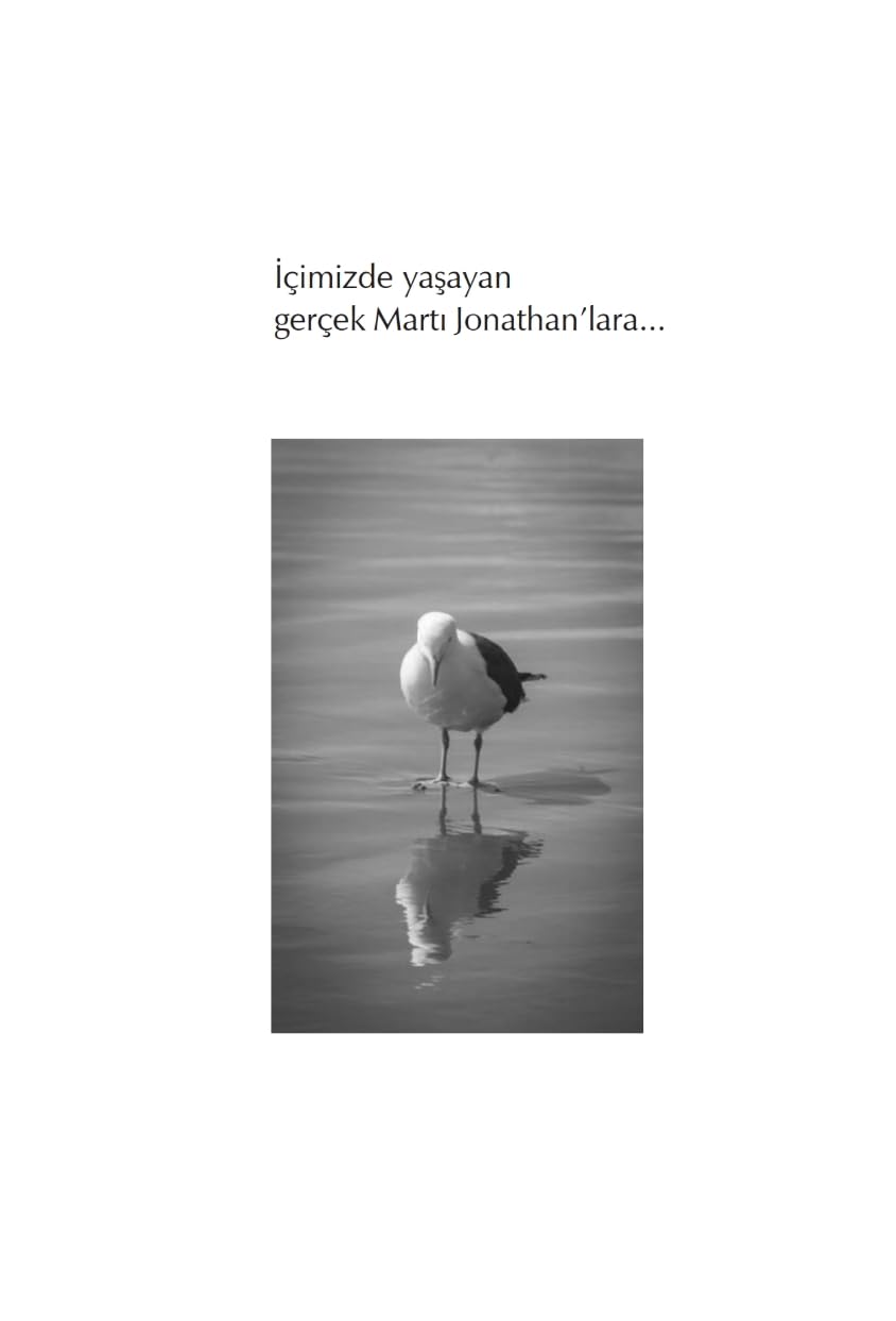 Martı Jonathan Livingston