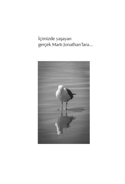Martı Jonathan Livingston