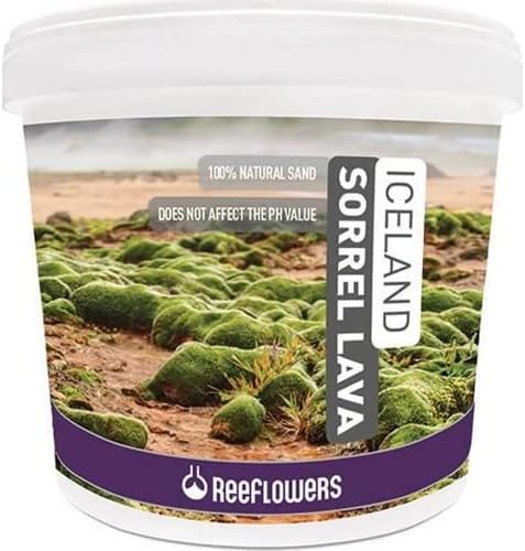 Reeflowers Iceland Sorrel Lava 4-6 mm 15 Kg