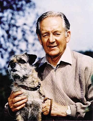 All Creatures and Small: The Memoirs of a Yorkshire Country Vet