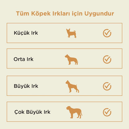 Kito Kurutulmuş Kuzu Kulak Çiğnemelik Köpek Ödül Maması %100 Doğal, Glutensiz, Organik 100 gr