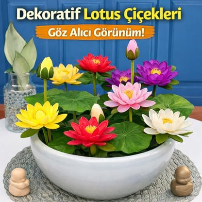 20 Adet Lotus Çiçeği Tohumu Nilüfer Çiçeği Karışık Renkli Orjinal Lotus Su ve Toprakta Yetişir