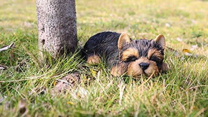 RUNADI Hi- Line Gift 87710-M Yorkshire Terrier Köpek Uyuyan Evcil Hayvan Dostları Heykeli, Siyah