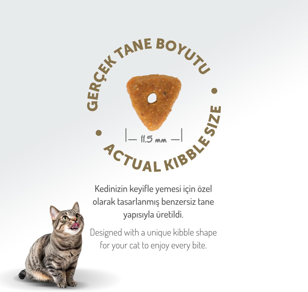 Felicia 5 Kg Kolajenli Somonlu Az Tahıllı Kısırlaştırılmış Kedi Maması Hypoallergenic Kedi Maması
