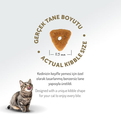 Felicia 5 Kg Kolajenli Somonlu Az Tahıllı Kısırlaştırılmış Kedi Maması Hypoallergenic Kedi Maması