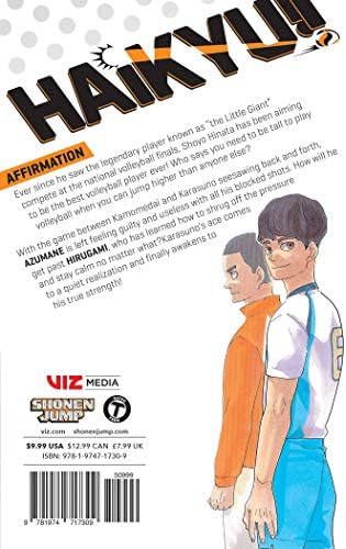 Haikyu!!, Vol. 40: Affirmation (Volume 40)