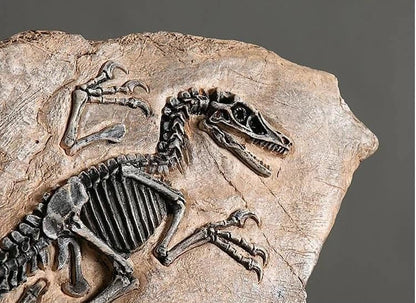 SUME Vintage Dinozor Fosil Reçine Heykeli Retro Tarzda Minyatür Kapalı Alan Dekorasyonu ve Koleksiyon Parçası Eşsiz Hediyelik ve Hatıra Objeleri