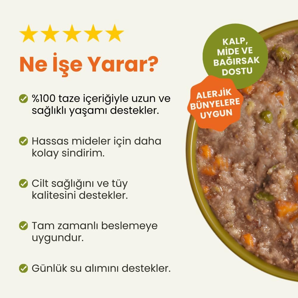 Kito Fresh Somon Etli Köpek Yemeği%100 Taze İçerikli Mama 250 gr