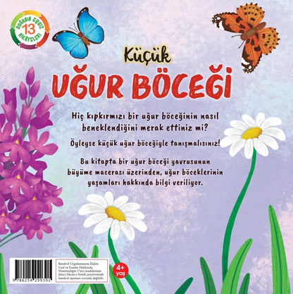 Küçük Uğur Böceği