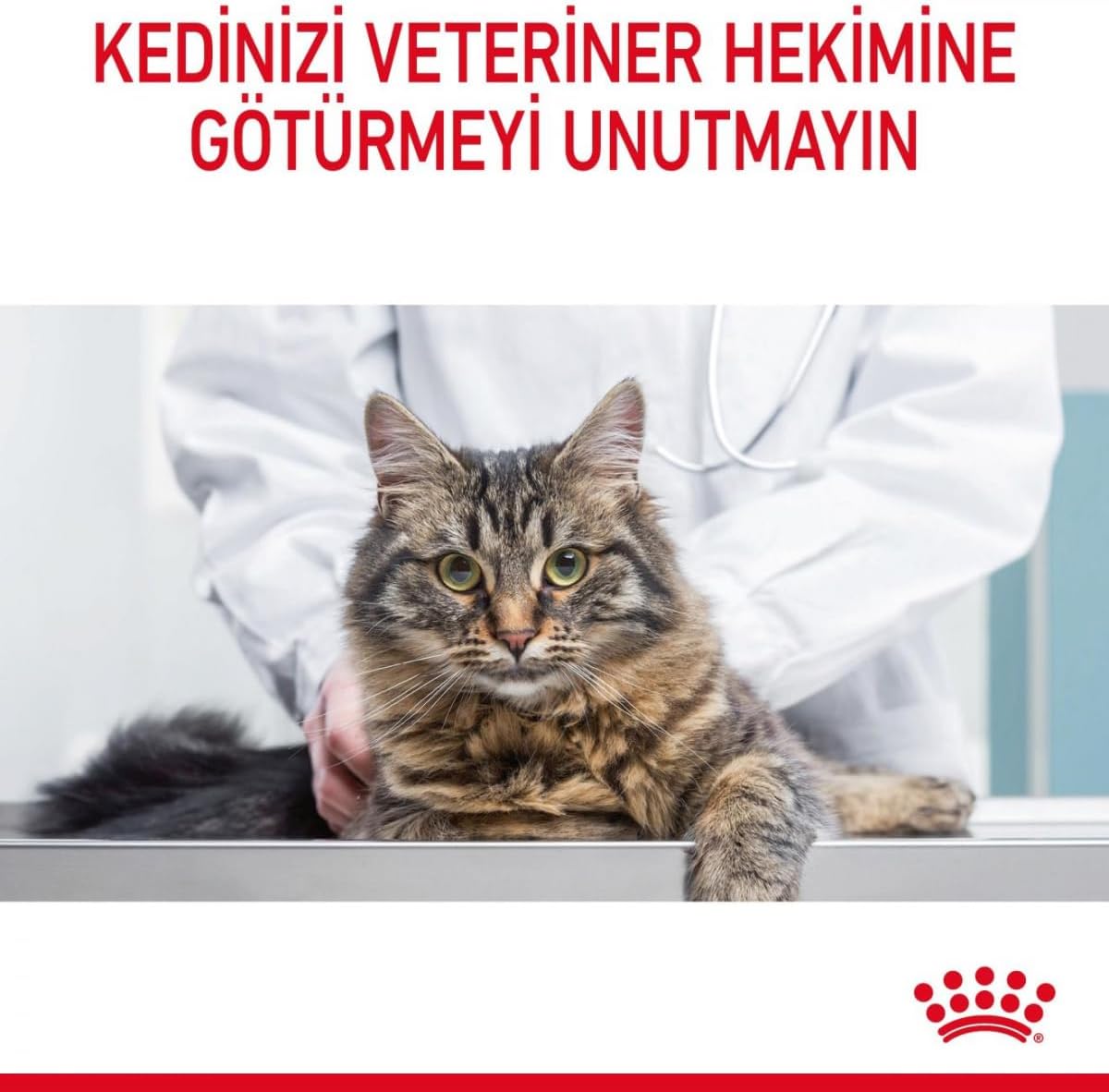 Royal Canin Intense Beauty Jelly Pouch Yaş Kedi Maması 85 Gr X 12 Adet