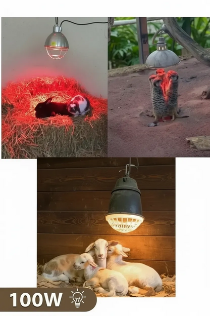 100W Kızılötesi (infrared) Isıtıcılı Hayvan Isıtma ve Kuluçka Lambası (Kırmızı Işık) E27 (Kalın Duy)