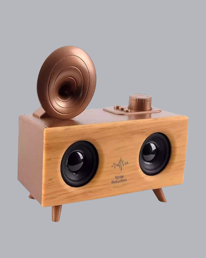 Çift Hoparlörlü Retro Bluetooth Speaker 1800mAh Bataryalı AUX USB SD Kartlı