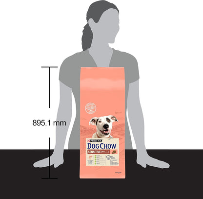 Dog Chow-Purina Somon Balıklı Yetişkin Köpek Maması 14 kg