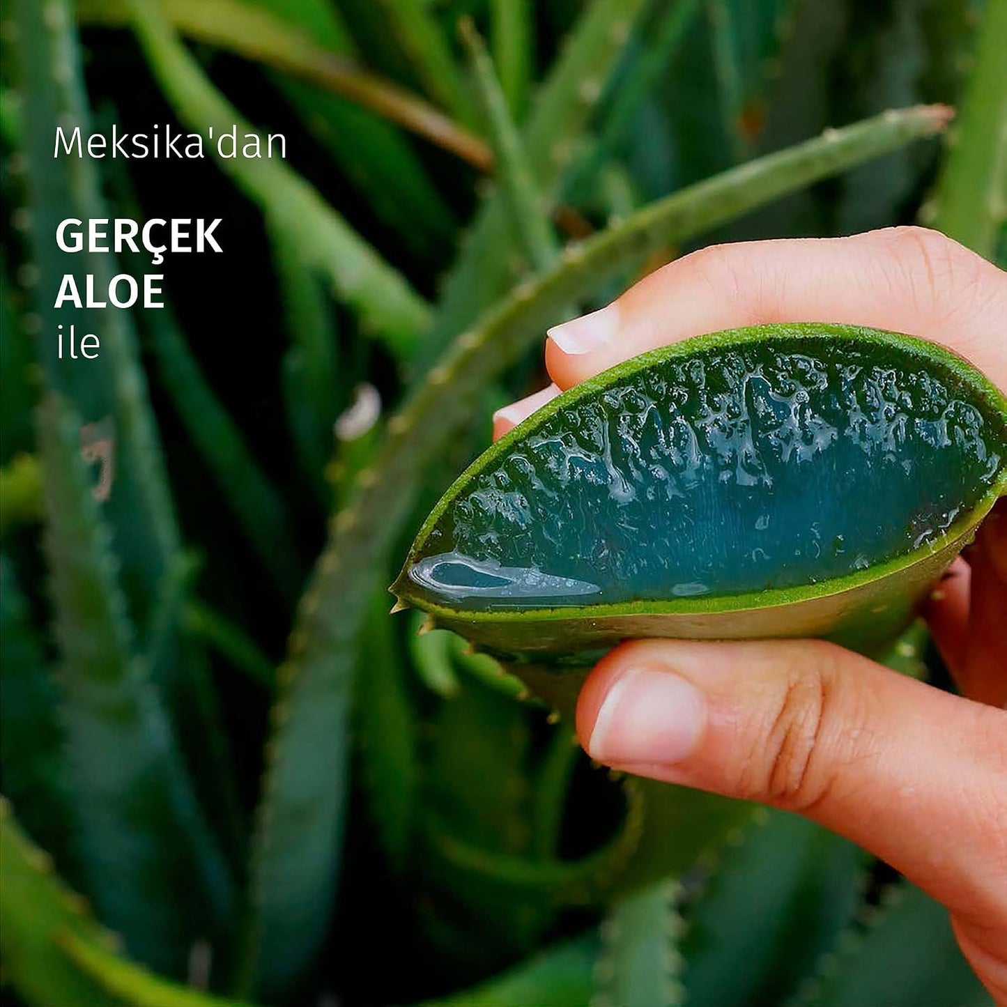 Herbal Essences Yatıştırıcı Aloe İçeren Şampuan 350 ml