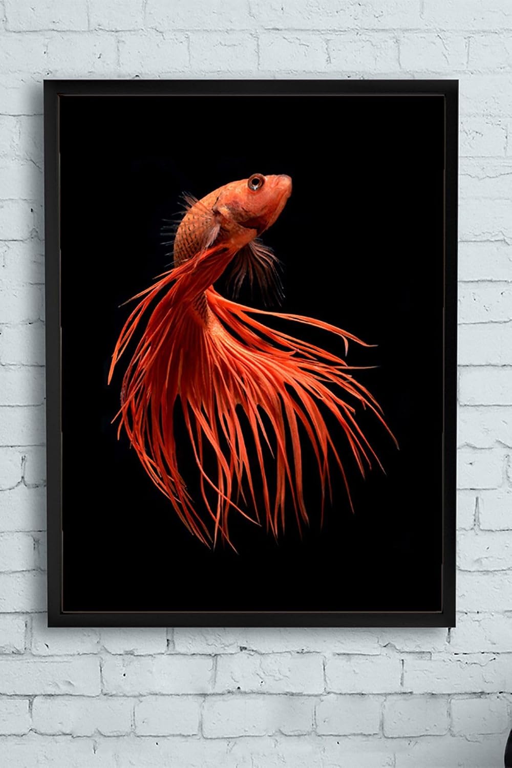 Postermanya (pster13184) Sanatsal Balık Hayvan Çerçeveli Tablo 3 (50x70cm)