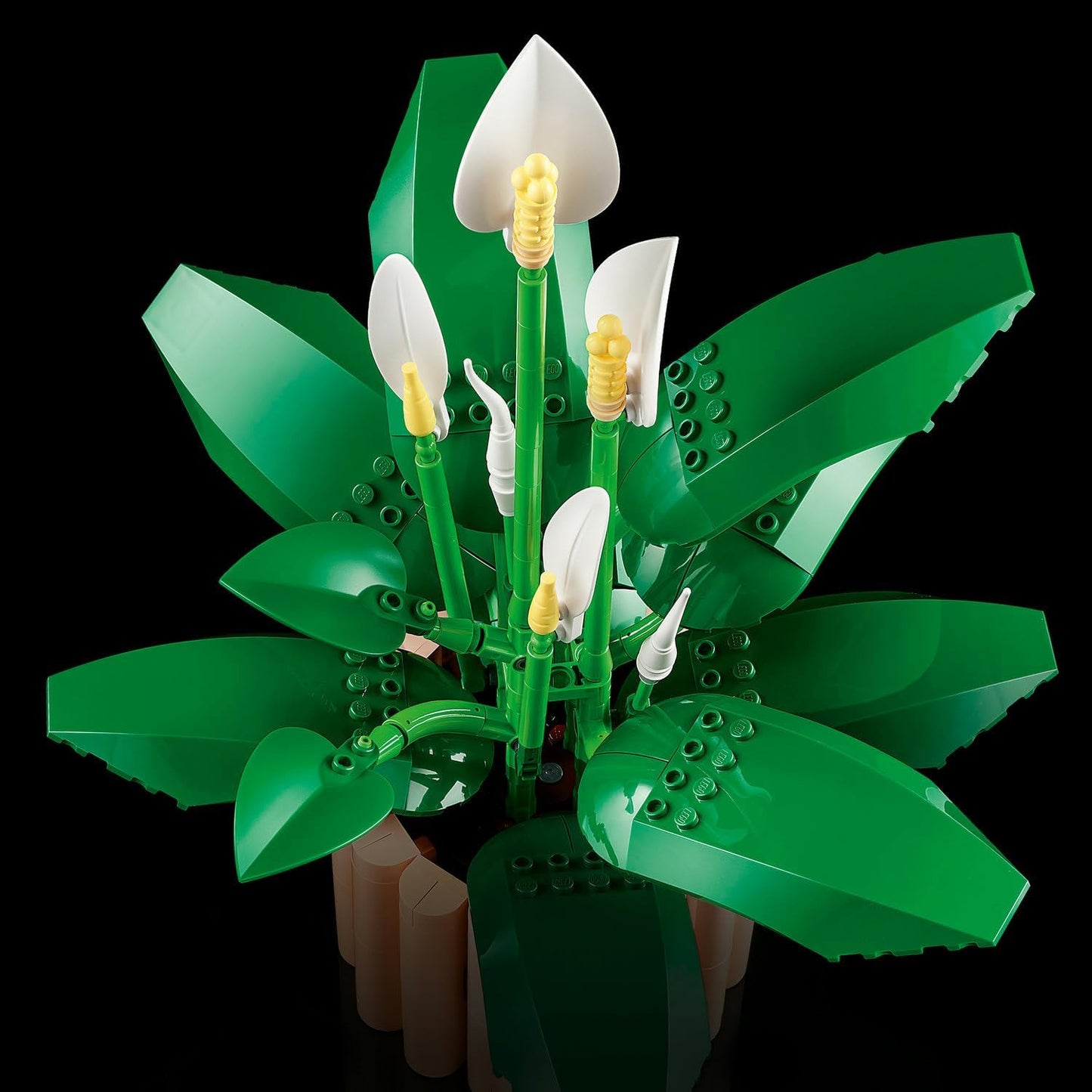LEGO Botanicals Barış Çiçeği 11504