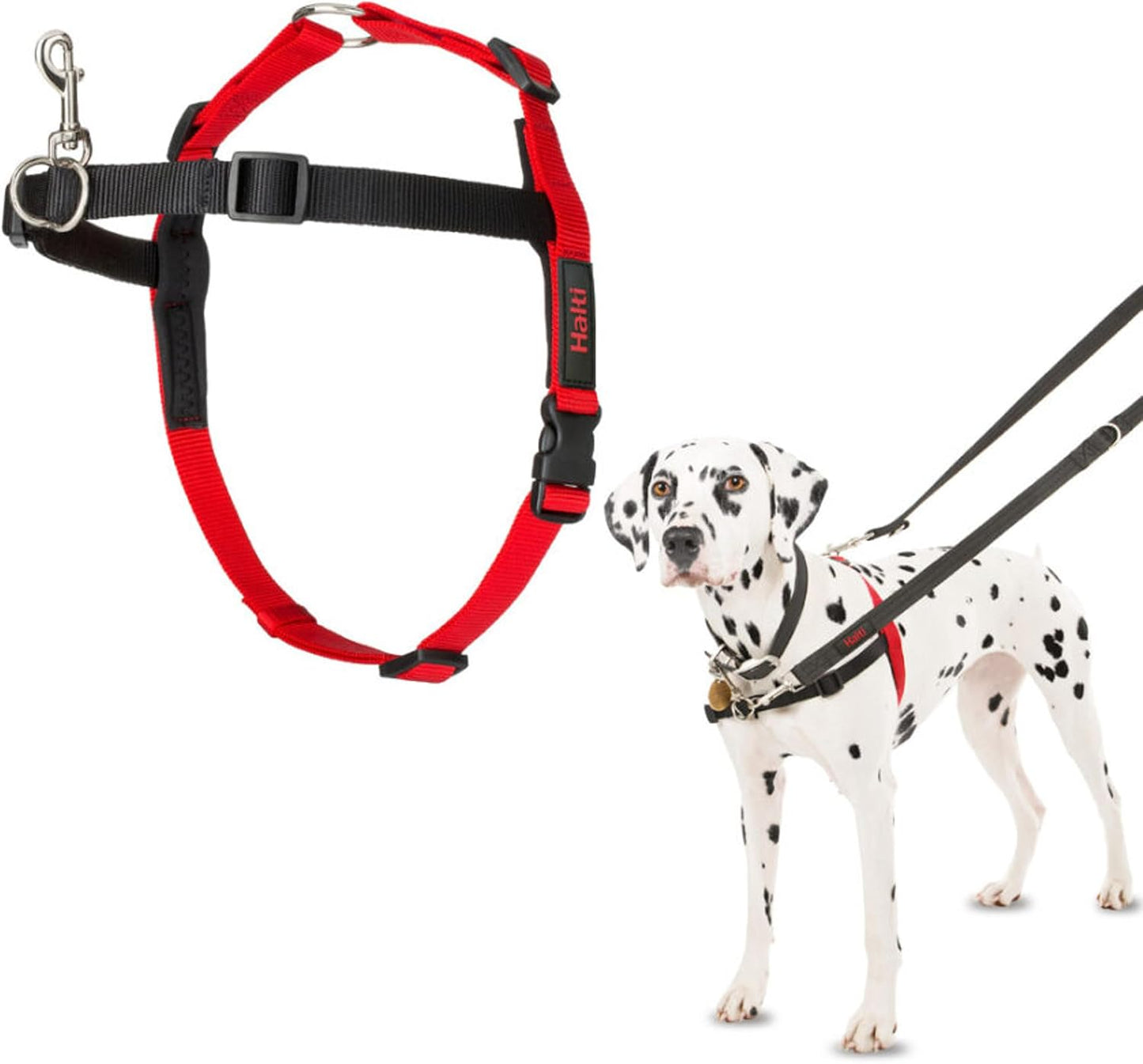 Company of Animals Halti Köpekler için Önden Kontrollü Göğüs Tasması, Orta Boy