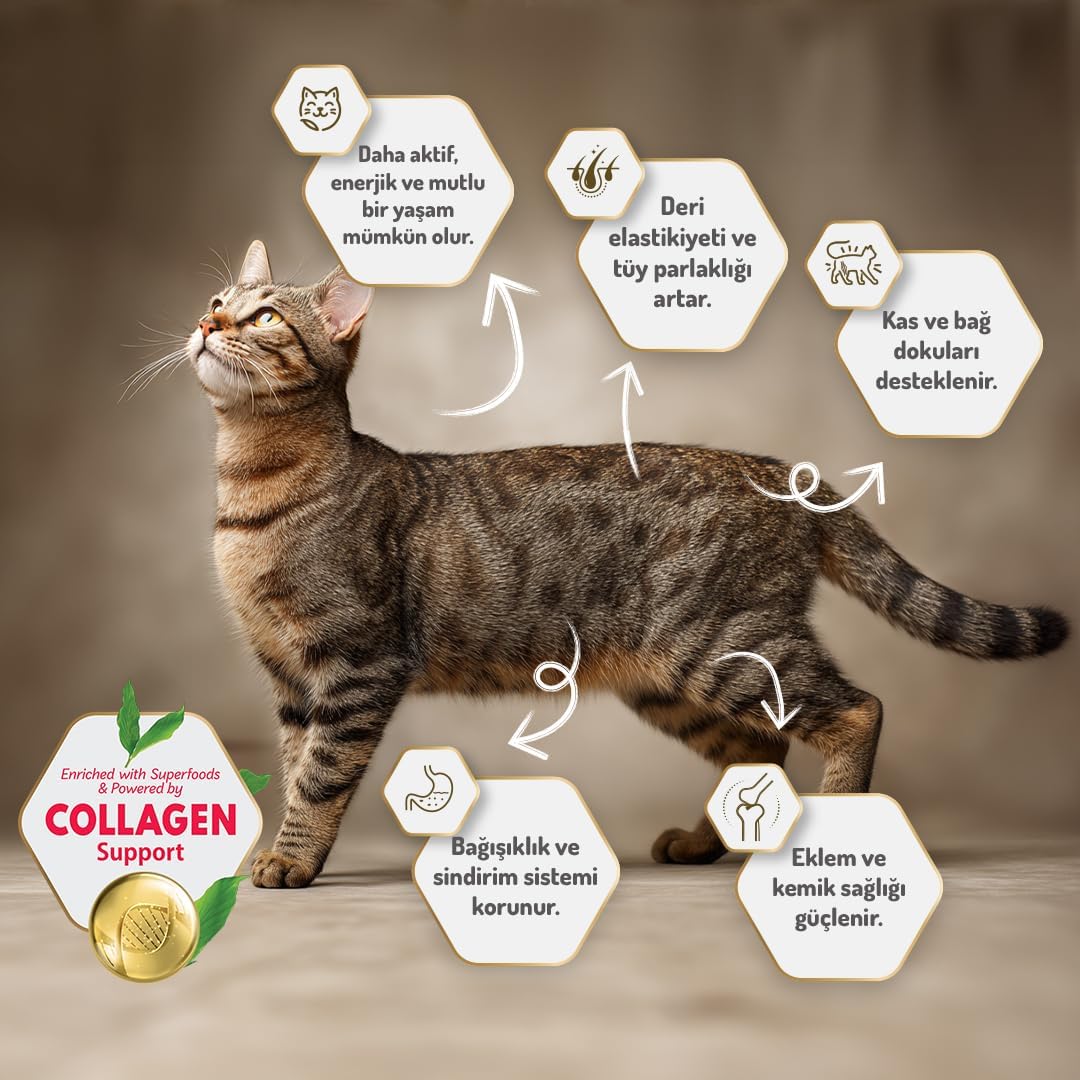 Felicia 5 Kg Kolajenli Somonlu Az Tahıllı Kısırlaştırılmış Kedi Maması Hypoallergenic Kedi Maması