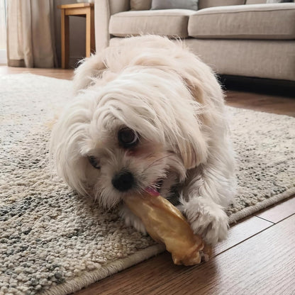 Kito Kurutulmuş Kuzu Kulak Çiğnemelik Köpek Ödül Maması %100 Doğal, Glutensiz, Organik 100 gr