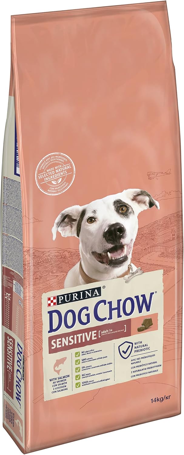 Dog Chow-Purina Somon Balıklı Yetişkin Köpek Maması 14 kg