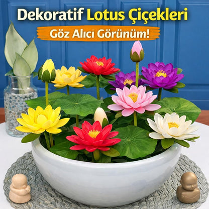 Lotus Çiçeği Tohumu 6 Adet – Nilüfer Çiçeği Tohumu Nadir Kutsal Lotus (6)