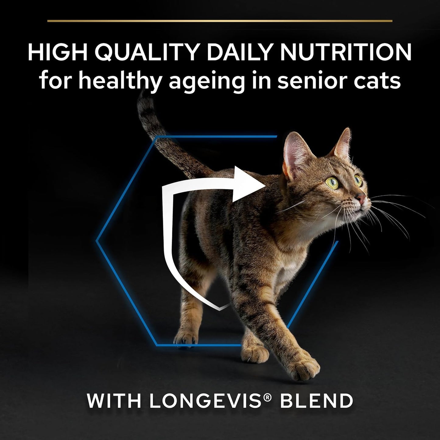 Pro Plan Original Senior Somonlu Kuru Kedi Maması 3 kg