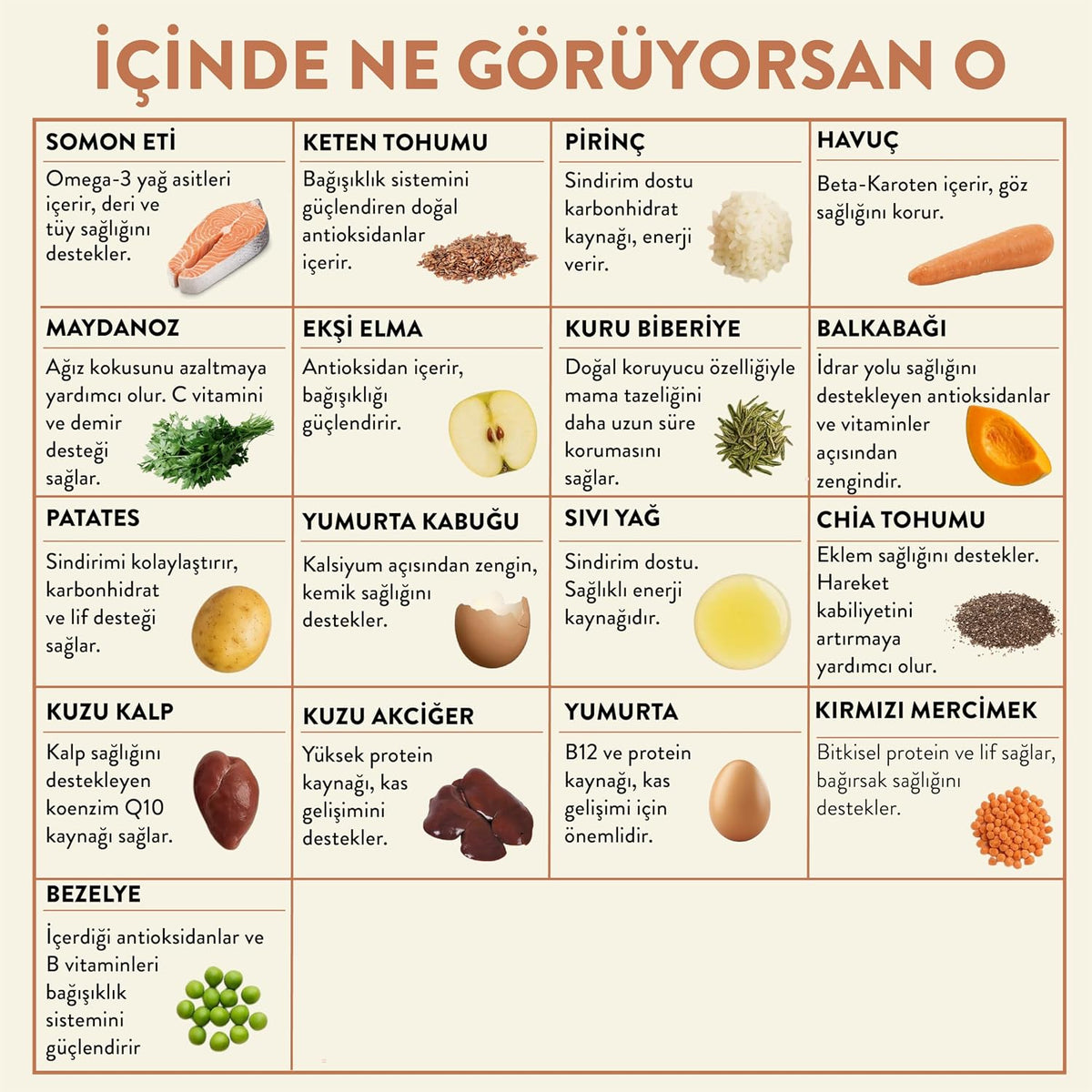 Kito Fresh Somon Etli Köpek Yemeği%100 Taze İçerikli Mama 250 gr
