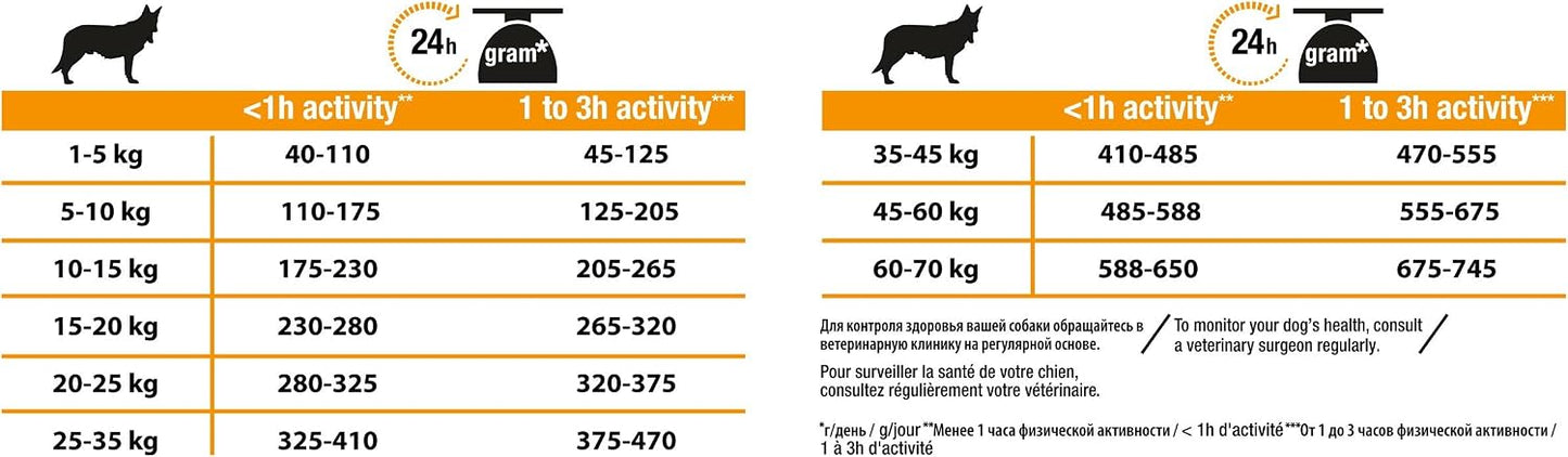 Pro Plan Medium Adult Tavuklu Yetişkin Köpek Maması 16,5 kg