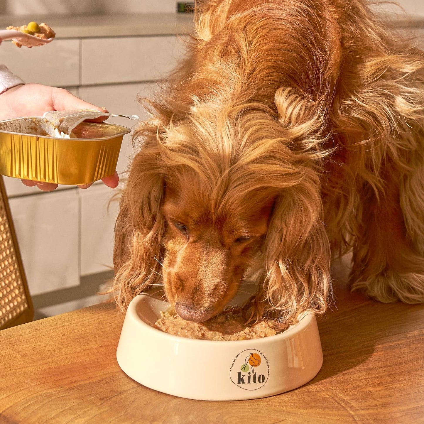 Kito Fresh Somon Etli Köpek Yemeği%100 Taze İçerikli Mama 250 gr