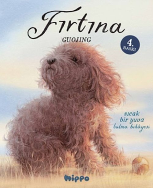 Fırtına