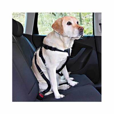 Köpek Emniyet Kemeri Large 70-90 Cm