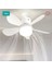 Kumandalı Fan, 62W LED Ampul Dimmerli